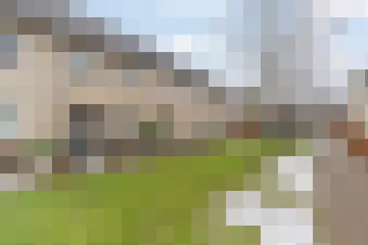 Pioenroos 18 Waddinxveen thumbnail 7
