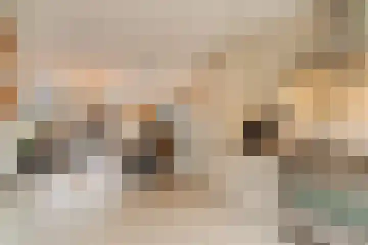 Pioenroos 18 Waddinxveen thumbnail 9