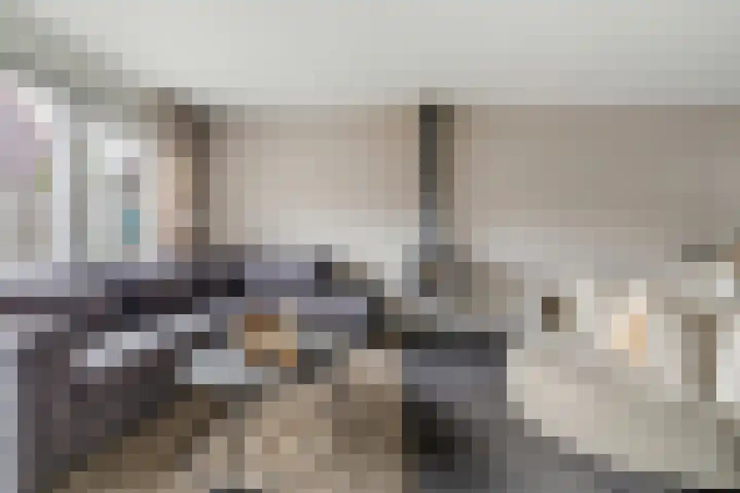 Pioenroos 6 Hoeven thumbnail 11