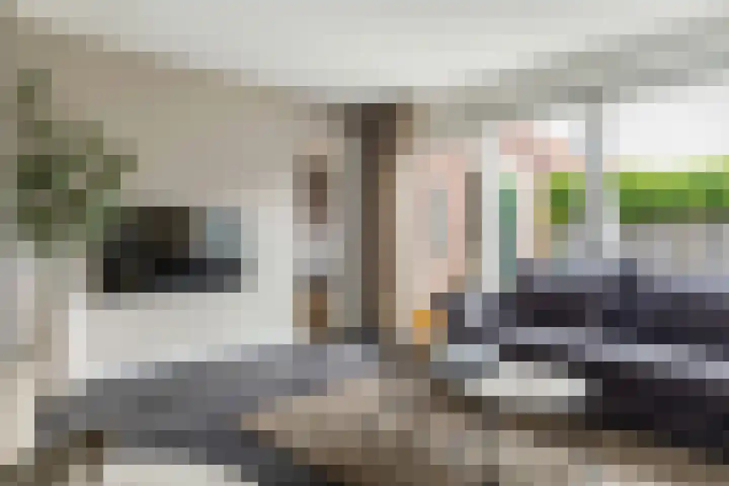 Pioenroos 6 Hoeven thumbnail 13