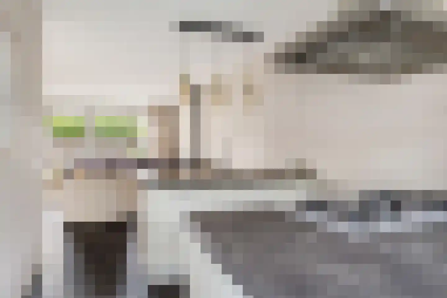 Pioenroos 6 Hoeven thumbnail 17