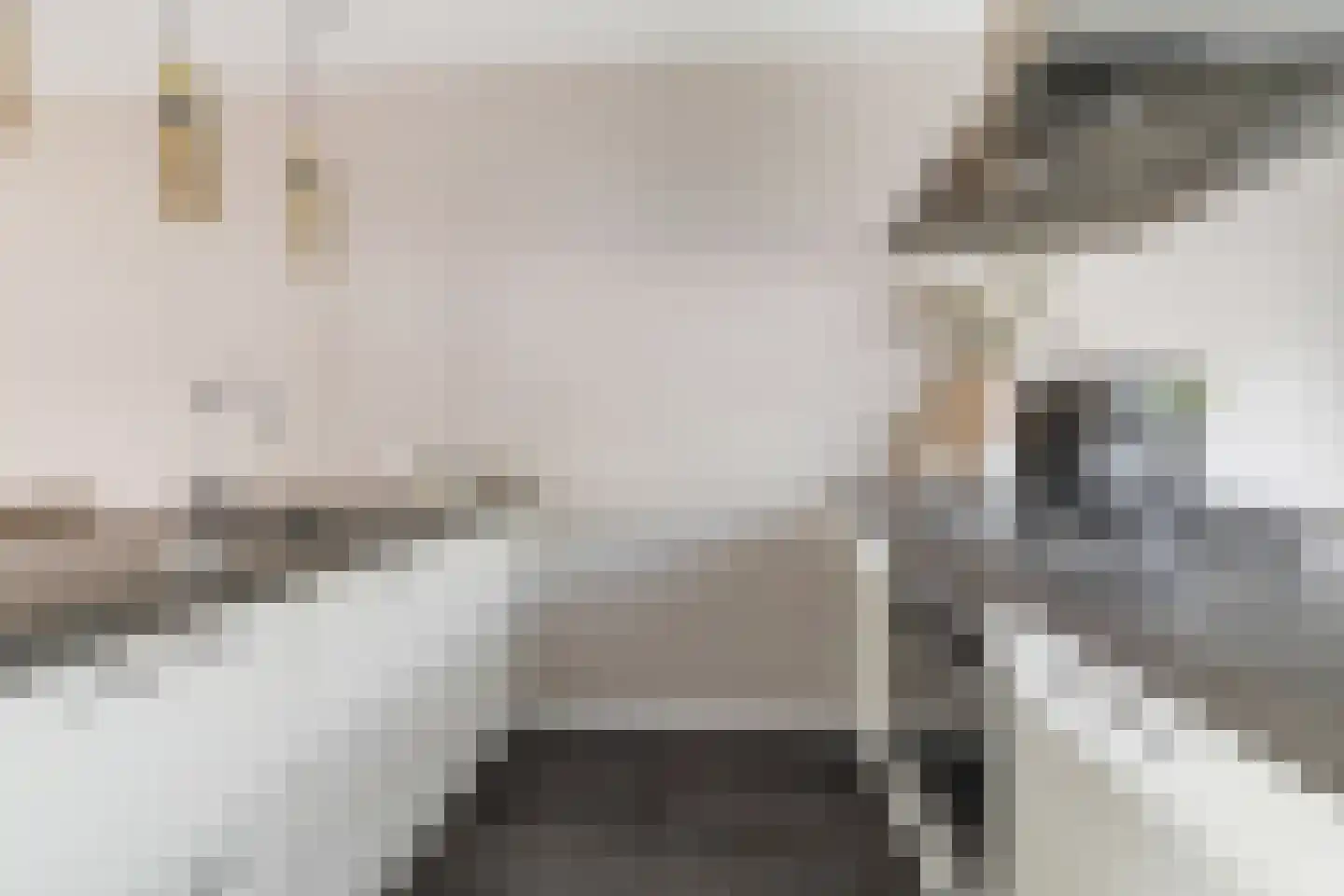 Pioenroos 6 Hoeven thumbnail 18