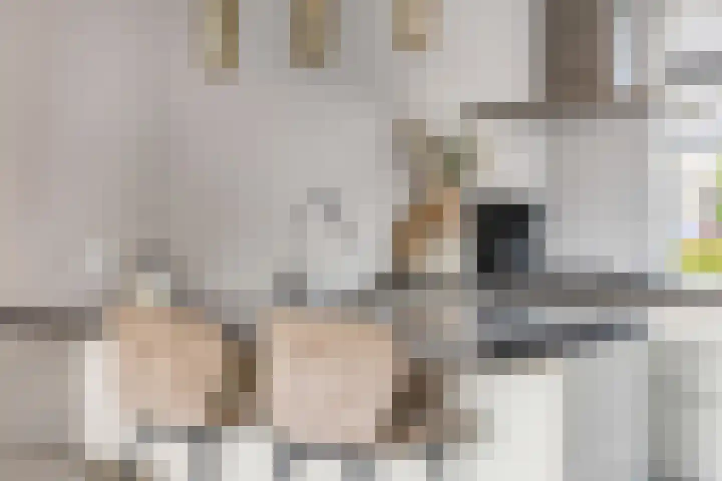 Pioenroos 6 Hoeven thumbnail 19
