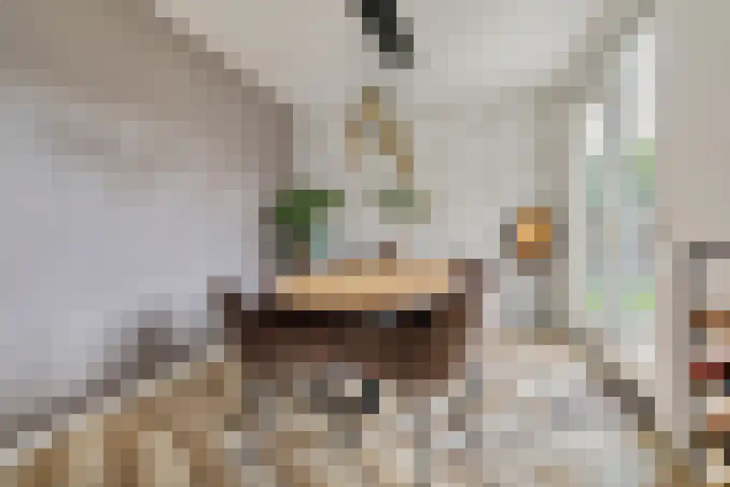 Pioenroos 6 Hoeven thumbnail 21