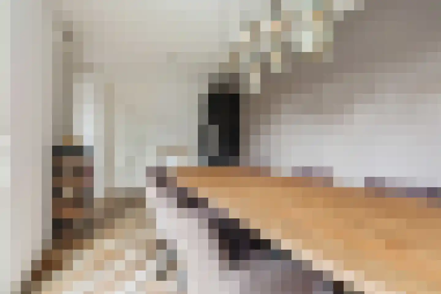 Pioenroos 6 Hoeven thumbnail 22