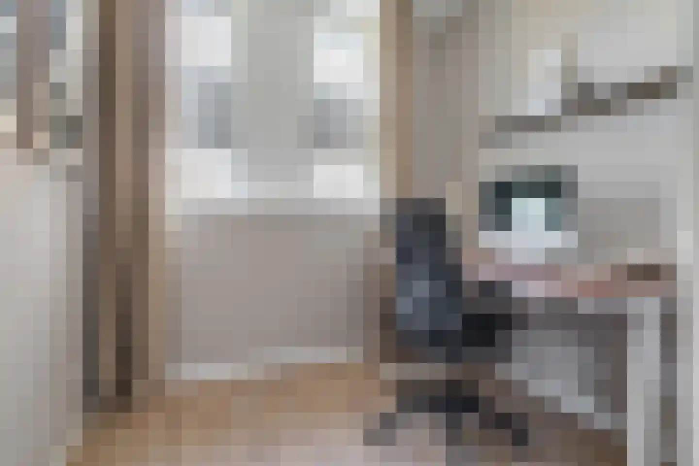 Pioenroos 6 Hoeven thumbnail 28