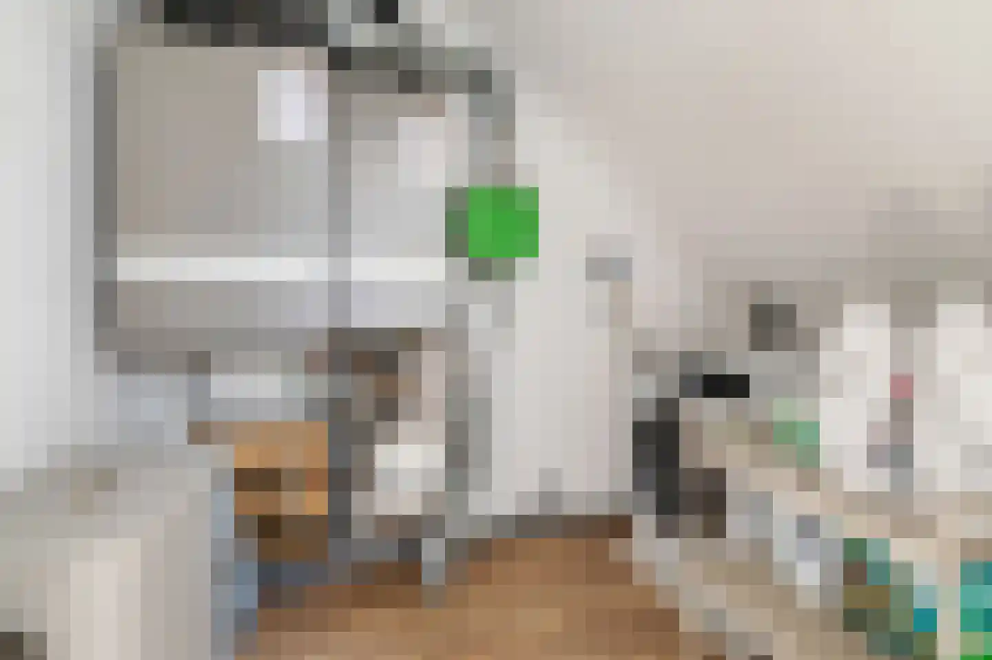 Pioenroos 6 Hoeven thumbnail 30