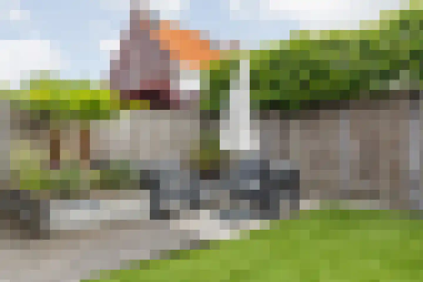 Pioenroos 6 Hoeven thumbnail 35
