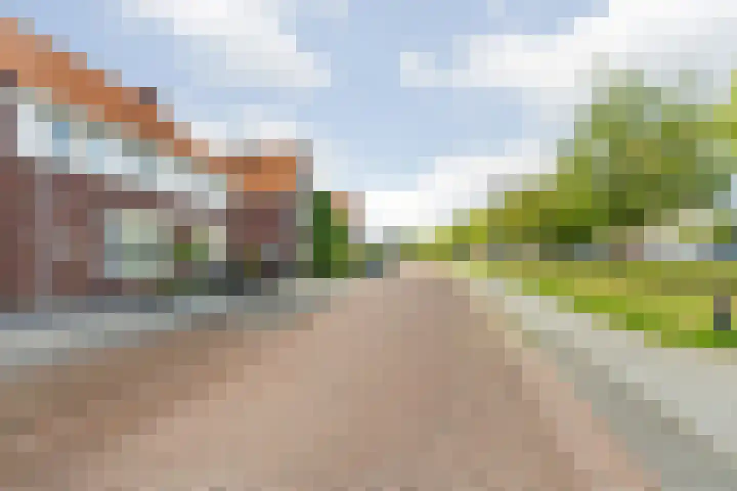 Pioenroos 6 Hoeven thumbnail 36