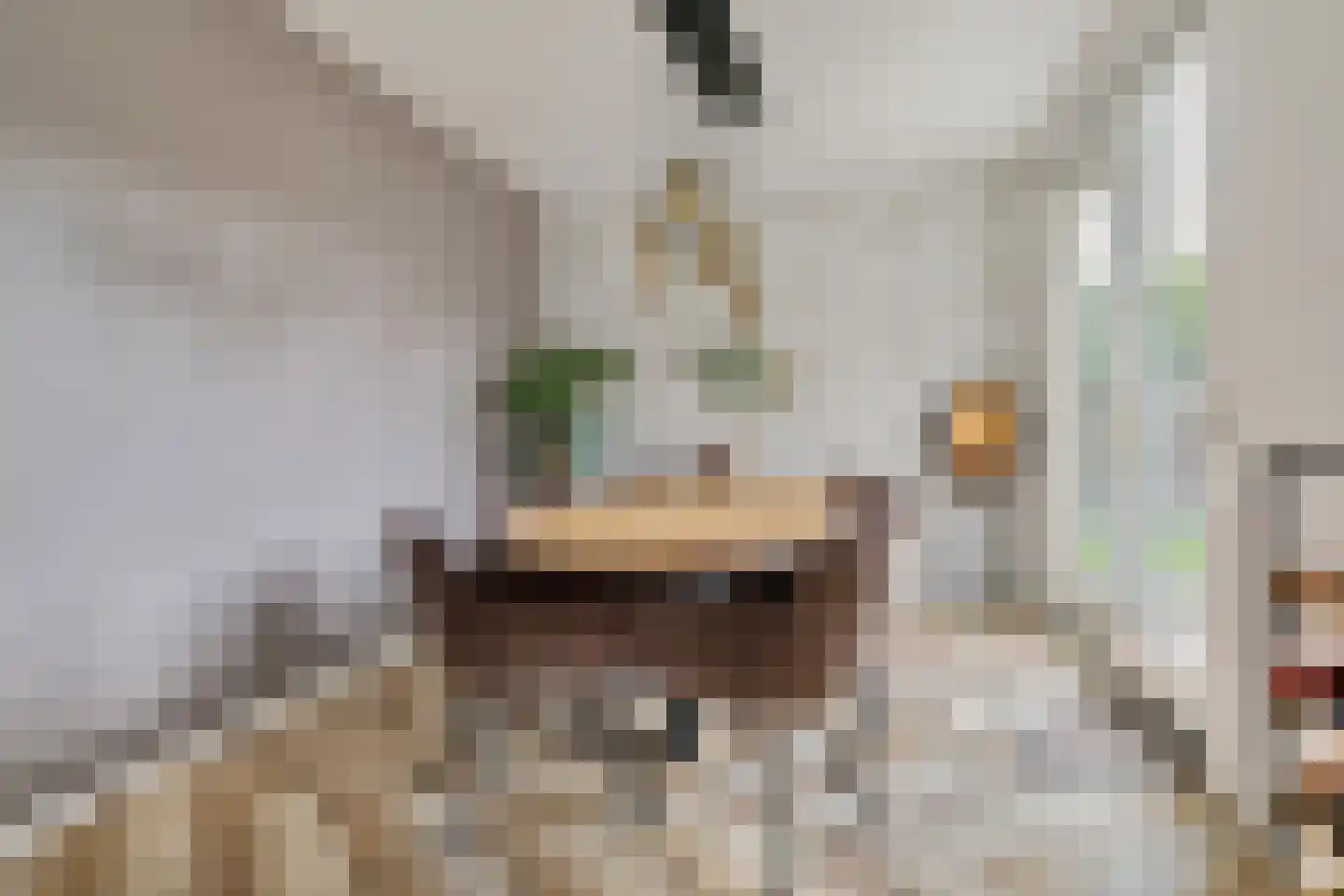 Pioenroos 6 Hoeven thumbnail 4