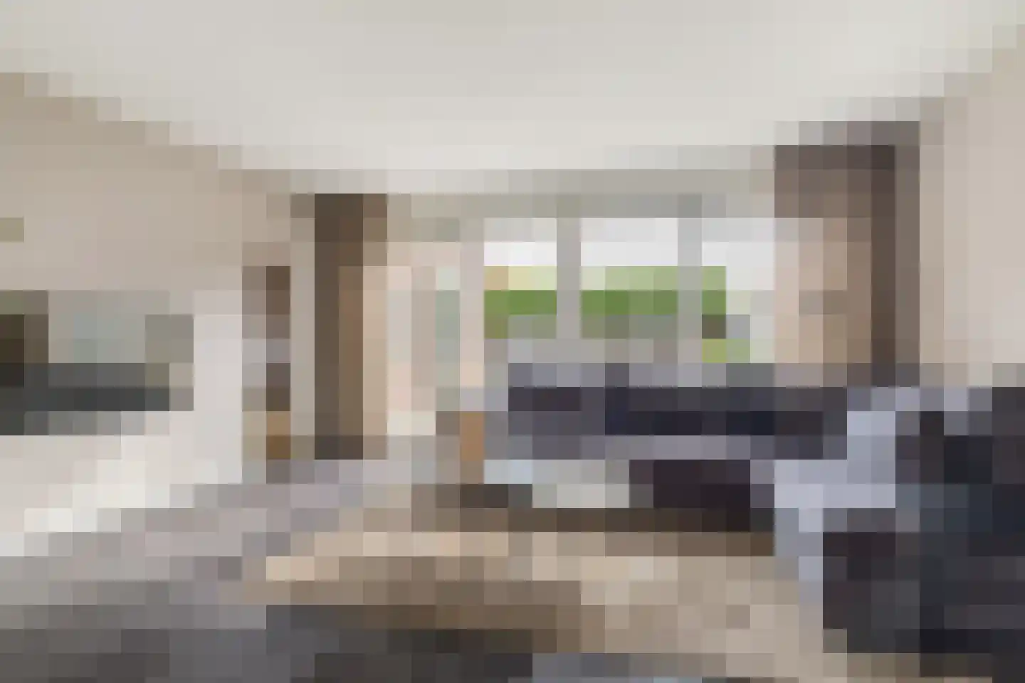 Pioenroos 6 Hoeven thumbnail 8