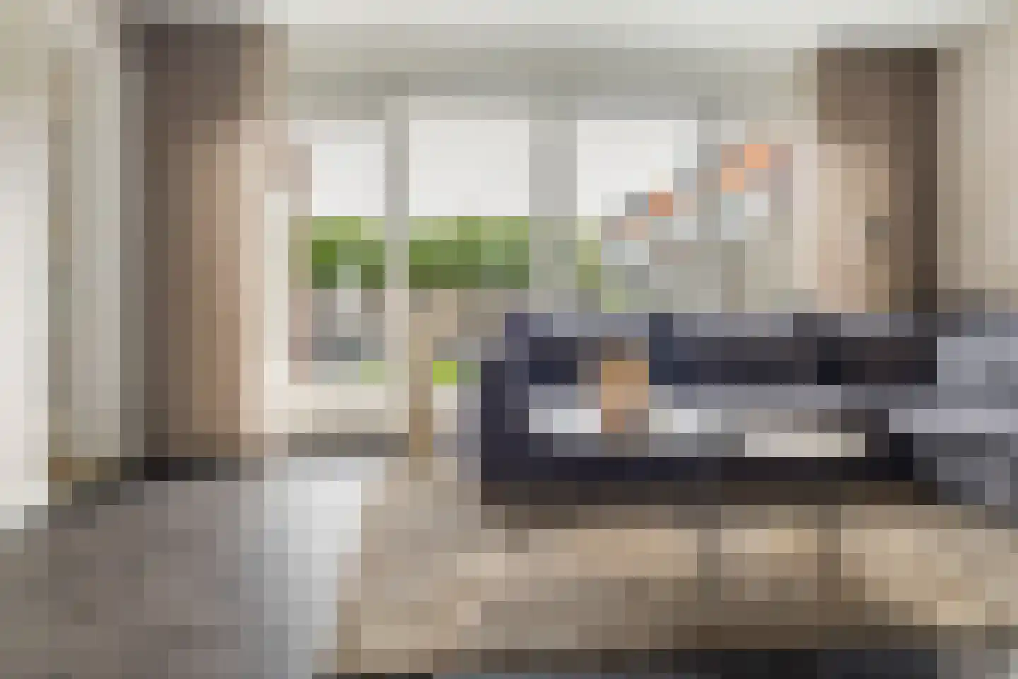 Pioenroos 6 Hoeven thumbnail 9