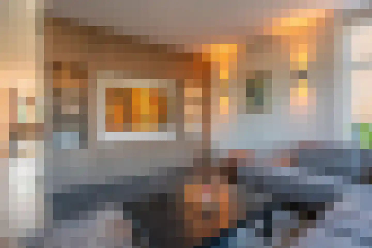Pioenroos 7 Voorhout thumbnail 17