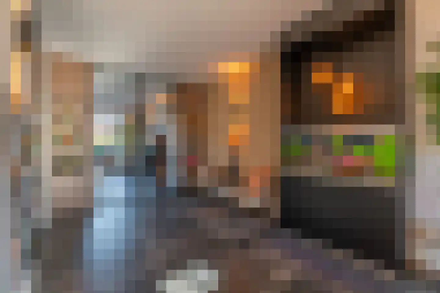 Pioenroos 7 Voorhout thumbnail 28