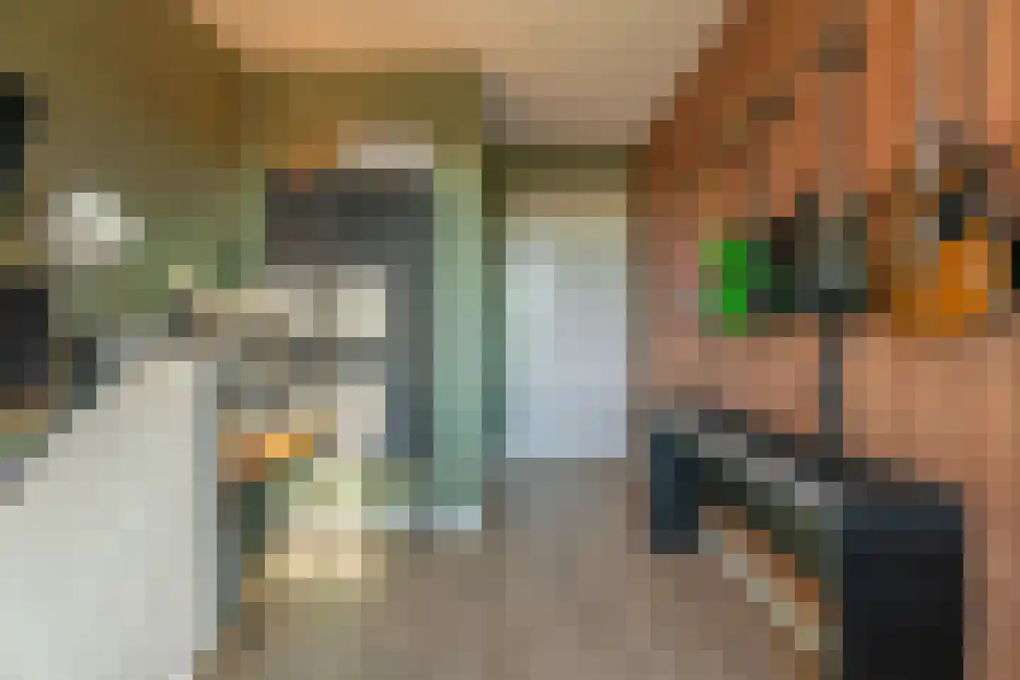 Pioenroos 7 Voorhout thumbnail 33