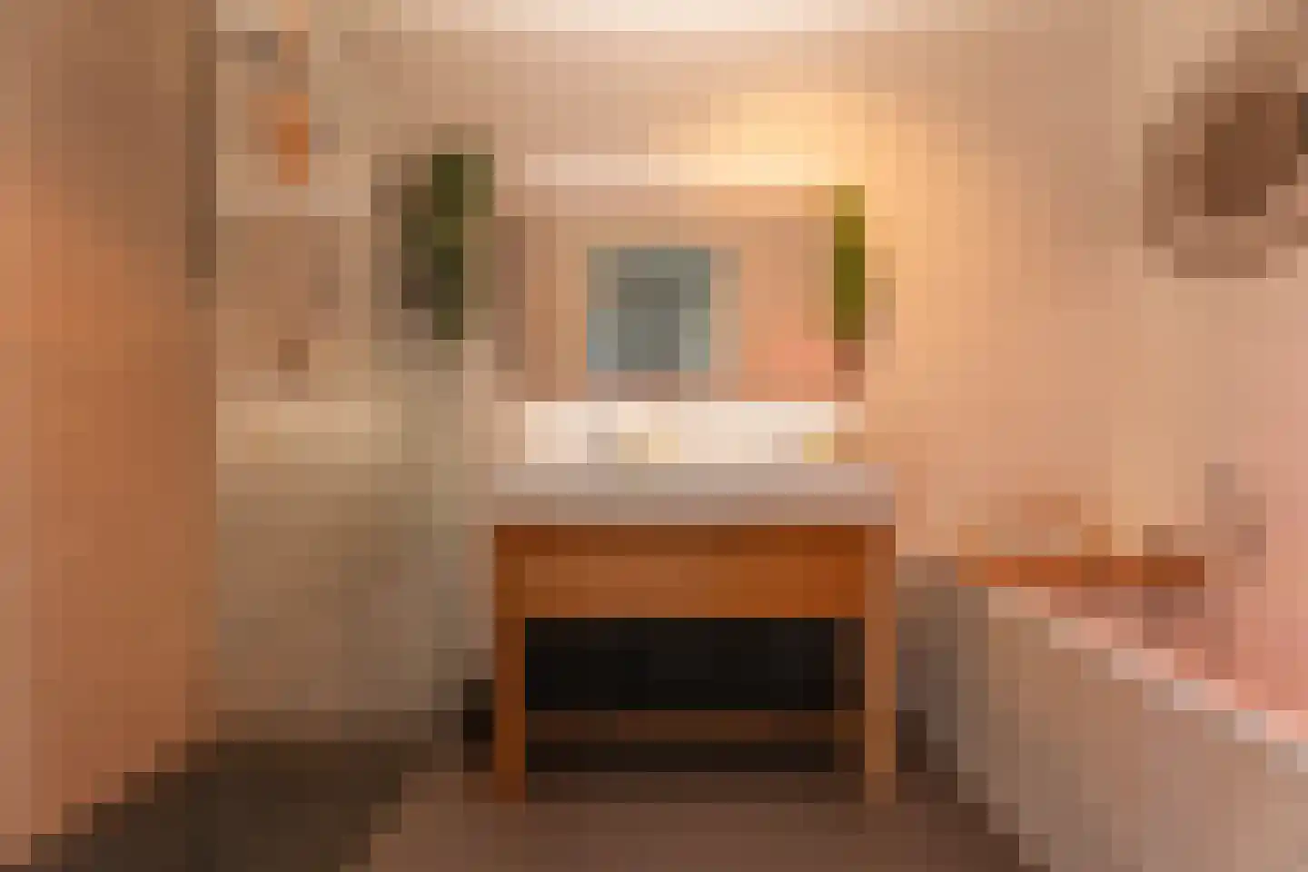 Pioenroos 7 Voorhout thumbnail 36