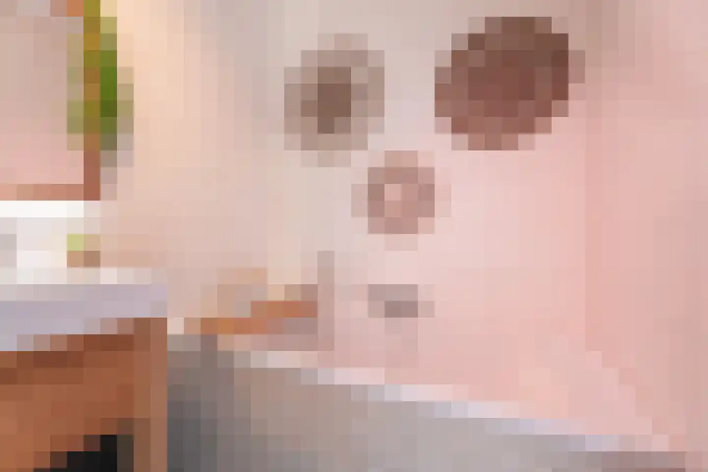 Pioenroos 7 Voorhout thumbnail 37