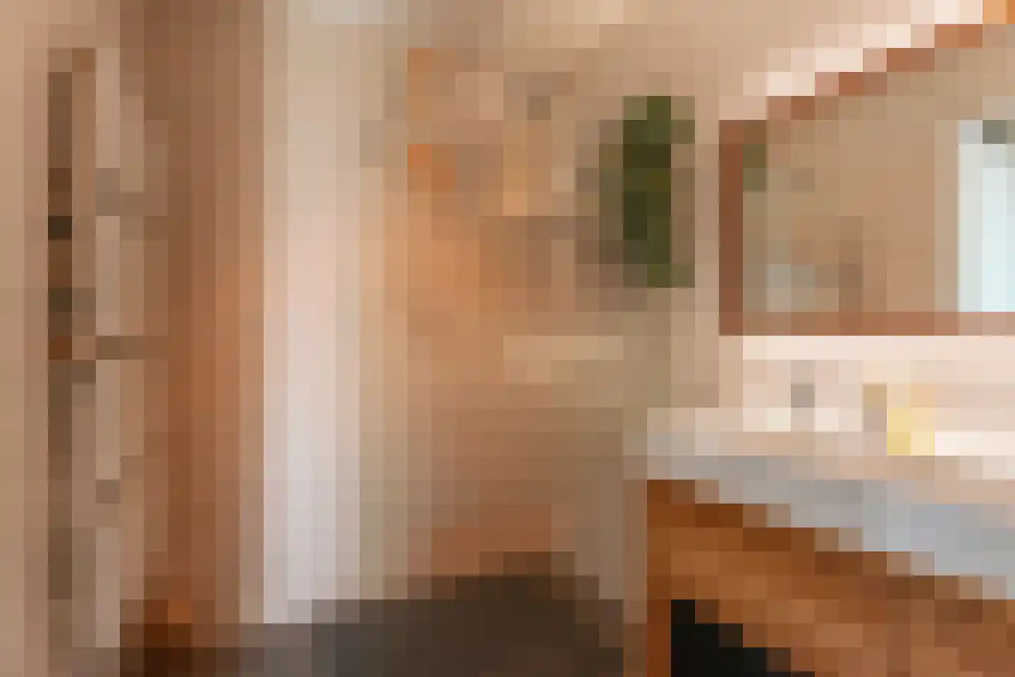 Pioenroos 7 Voorhout thumbnail 38