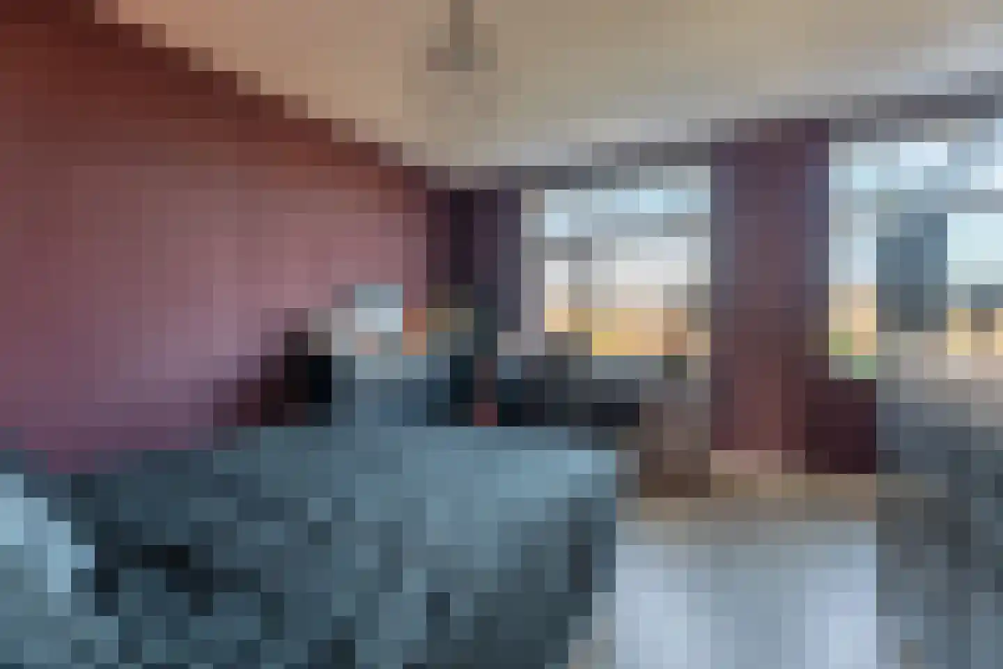 Pioenroos 7 Voorhout thumbnail 39