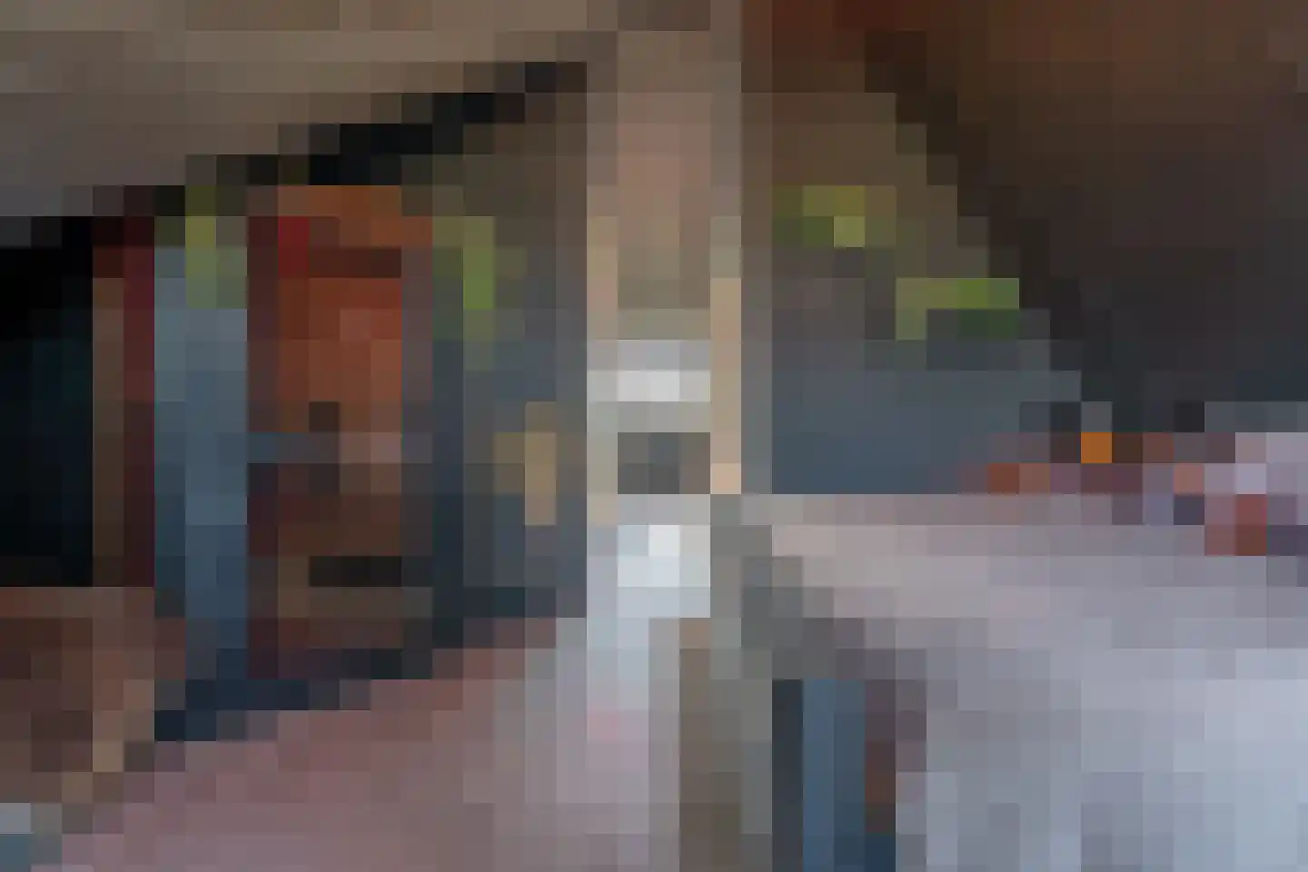 Pioenroos 7 Voorhout thumbnail 47