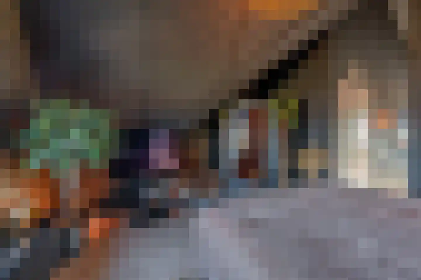 Pioenroos 7 Voorhout thumbnail 48