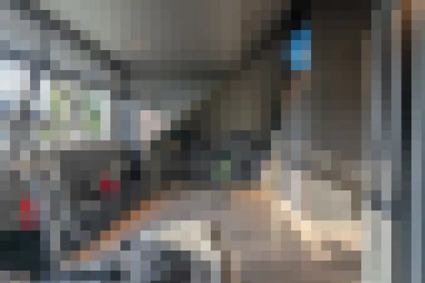 Pioenroos 7 Voorhout thumbnail 50