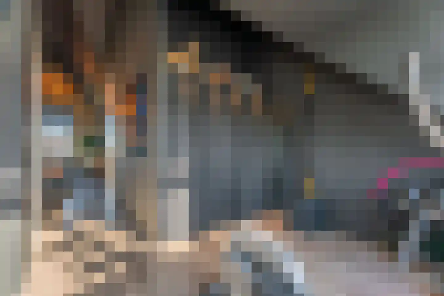 Pioenroos 7 Voorhout thumbnail 52
