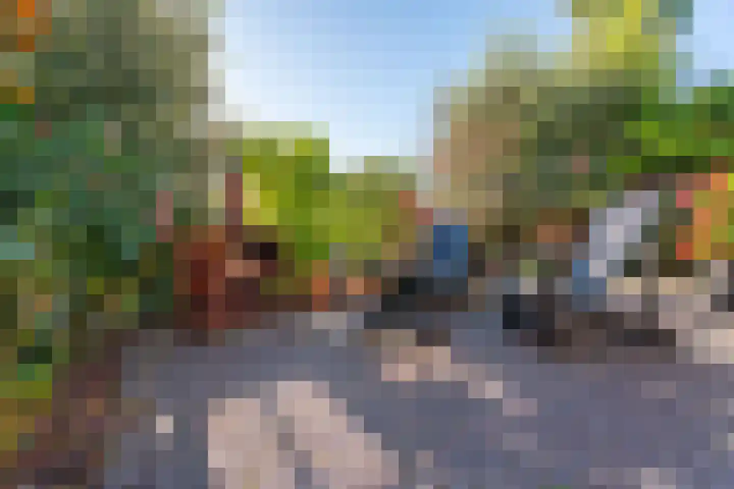 Pioenroos 7 Voorhout thumbnail 56