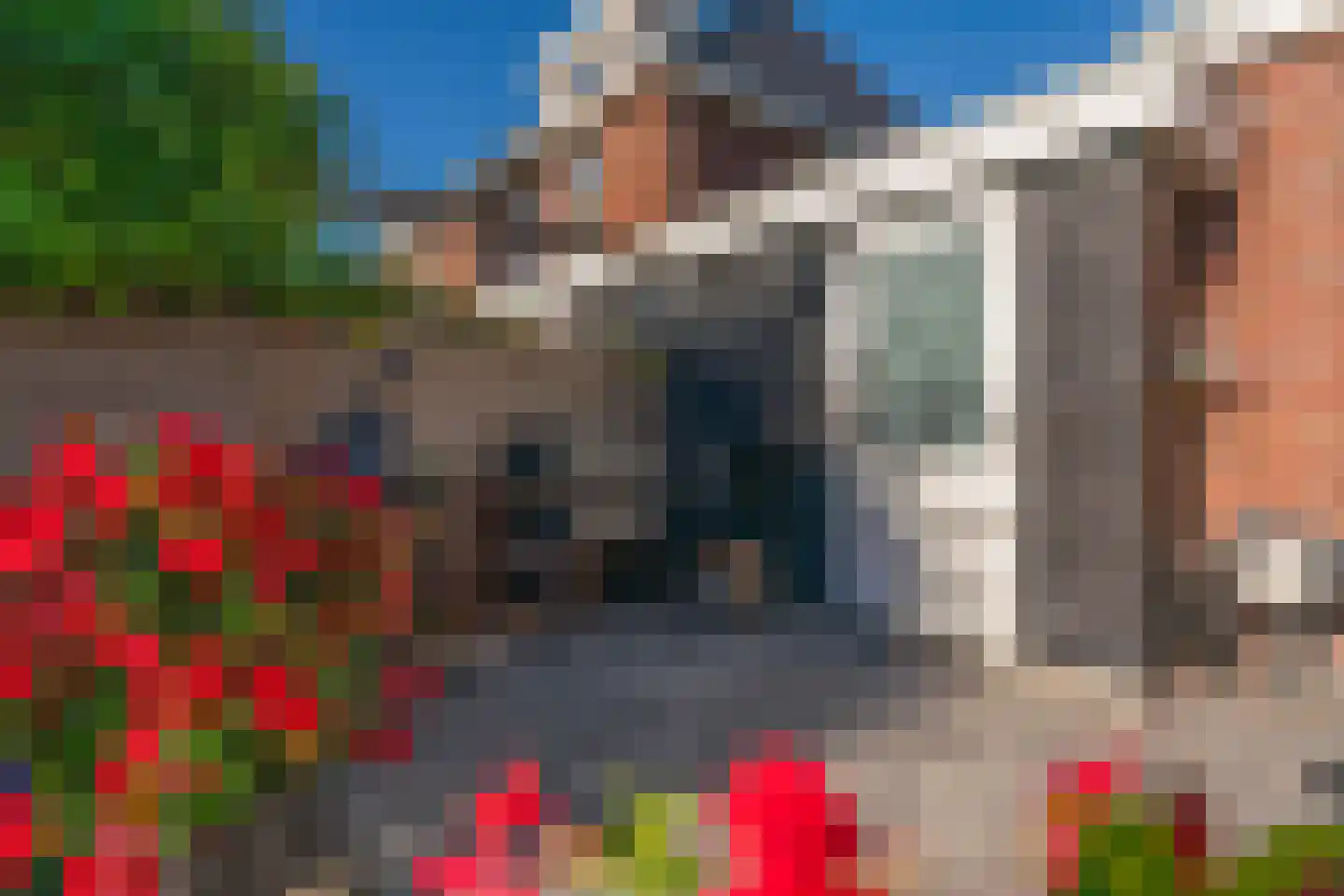 Pioenroos 7 Voorhout thumbnail 58