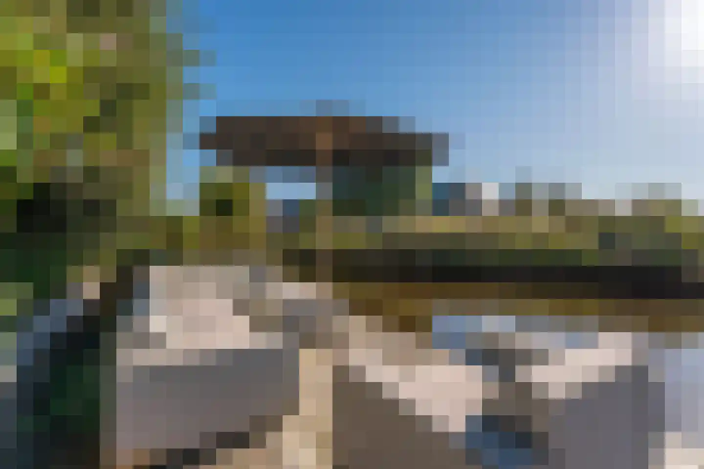 Pioenroos 7 Voorhout thumbnail 59
