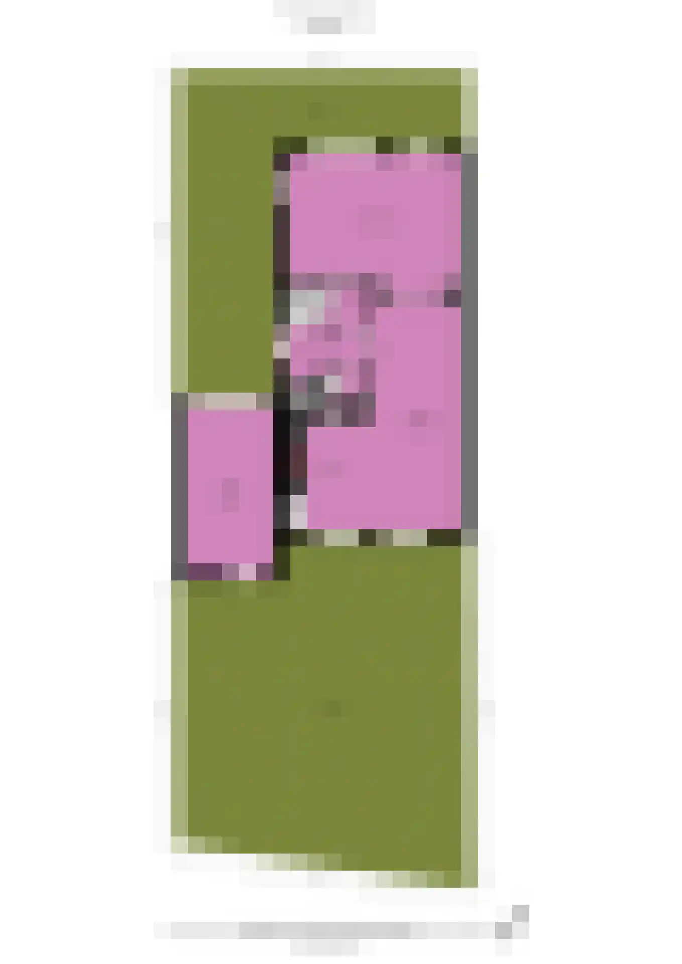 Pioenroos 7 Voorhout thumbnail 71