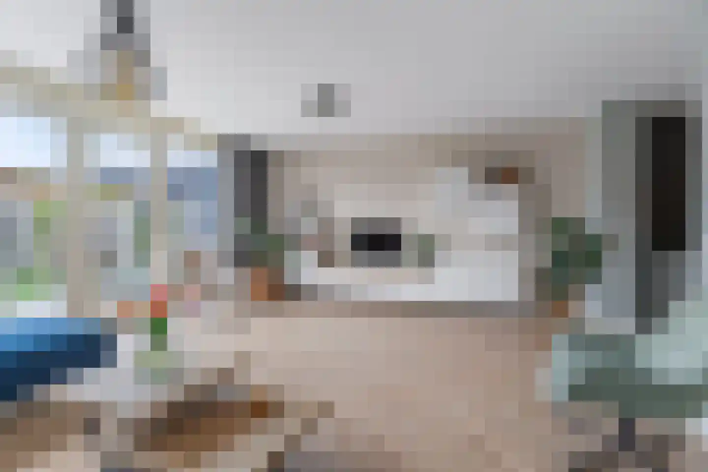 Pioenroos 7 Waddinxveen thumbnail 13