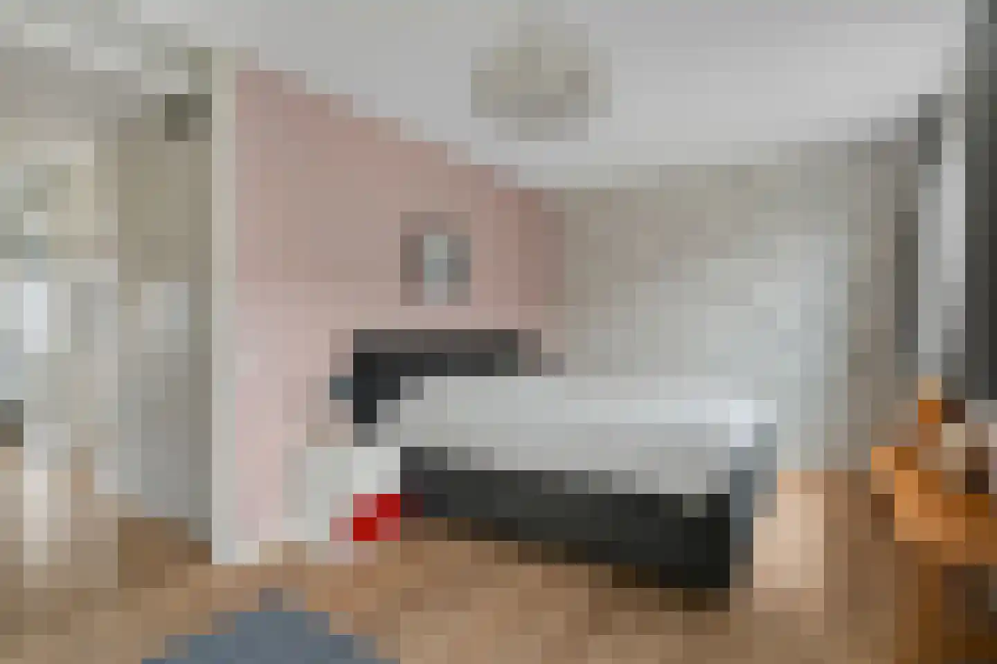 Pioenroos 7 Waddinxveen thumbnail 25
