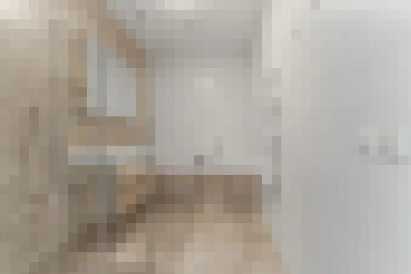 Pioenroos 7 Waddinxveen thumbnail 4