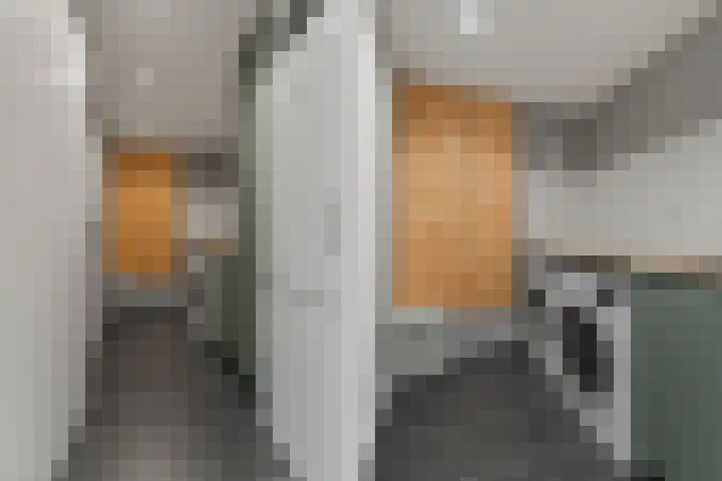 Pioenroos 7 Waddinxveen thumbnail 45