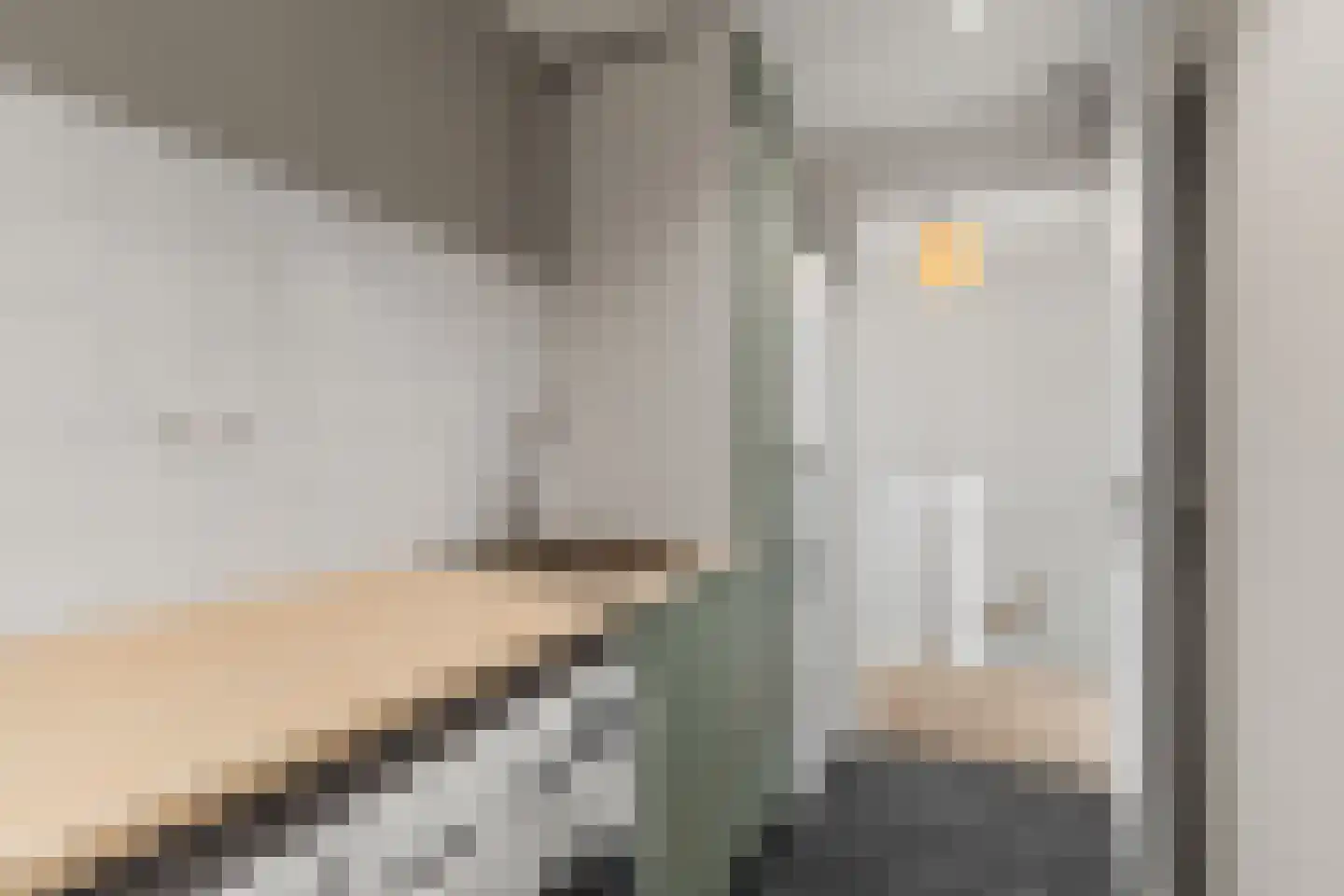 Pioenroos 7 Waddinxveen thumbnail 46