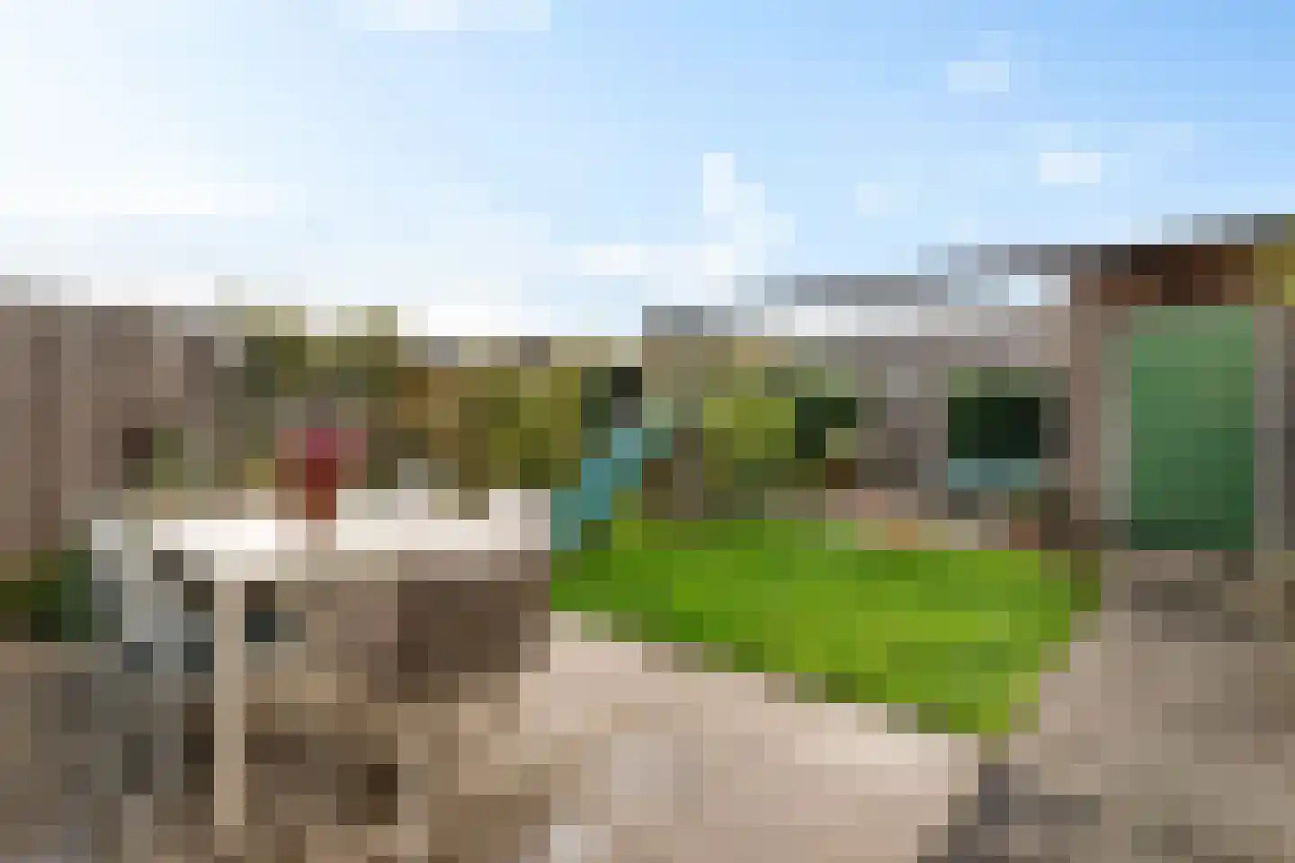 Pioenroos 7 Waddinxveen thumbnail 49