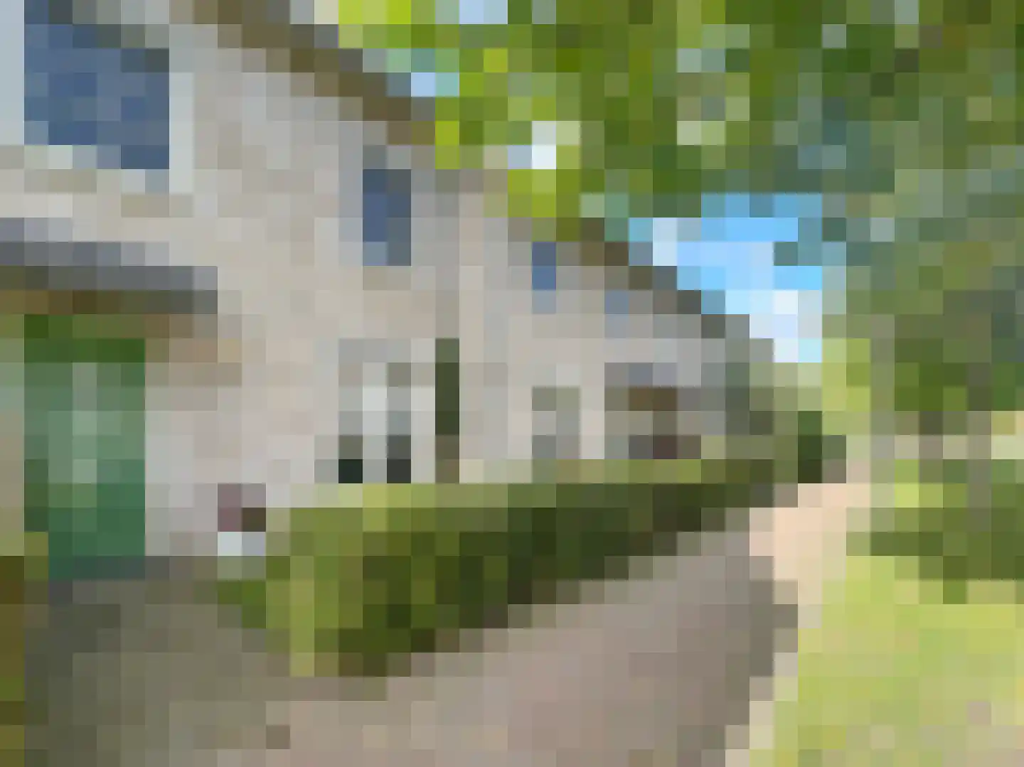 Pioenroos 7 Waddinxveen thumbnail 6