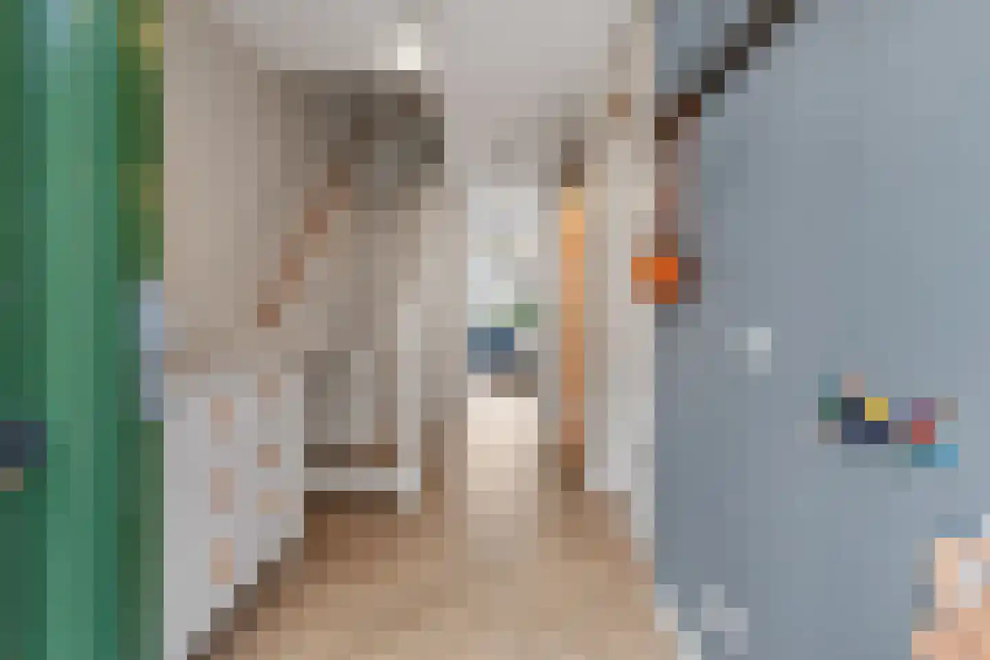 Pioenroos 7 Waddinxveen thumbnail 8