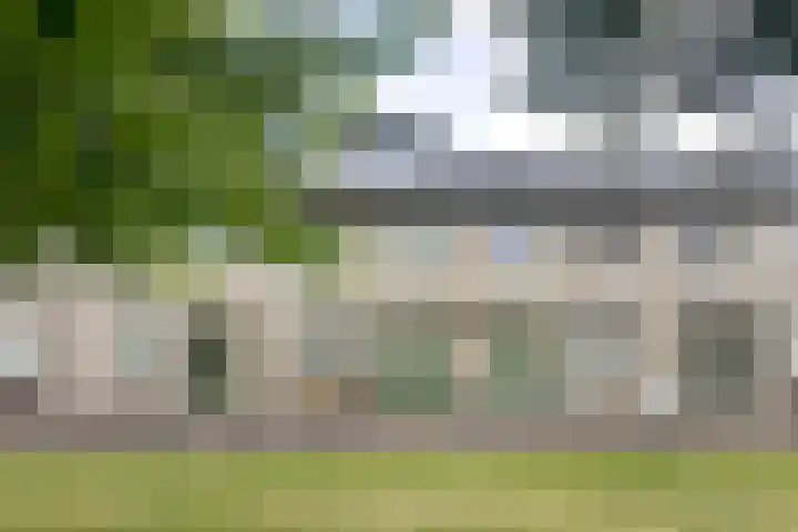 Pioenroos 8 in Waddinxveen