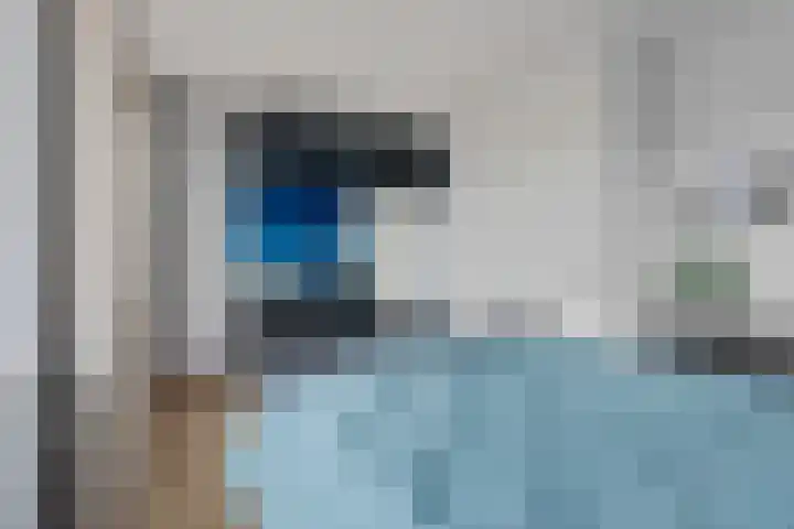 Pioenroos 8 Waddinxveen thumbnail 17
