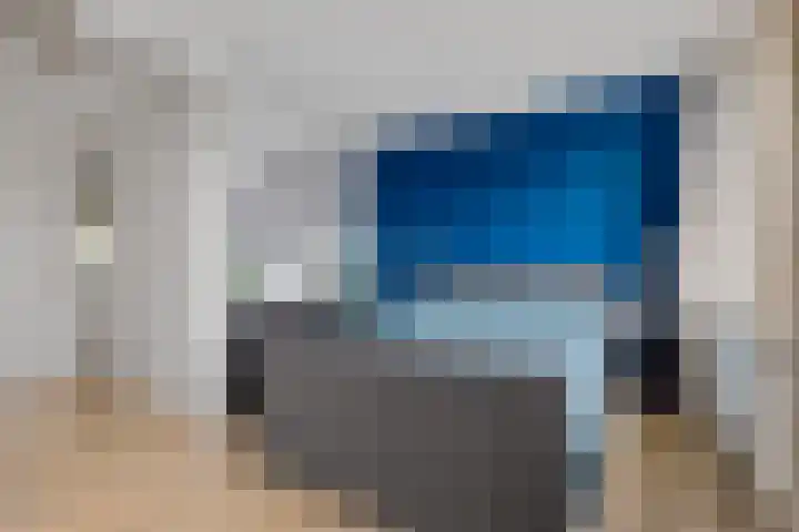 Pioenroos 8 Waddinxveen thumbnail 18