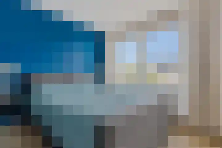 Pioenroos 8 Waddinxveen thumbnail 20