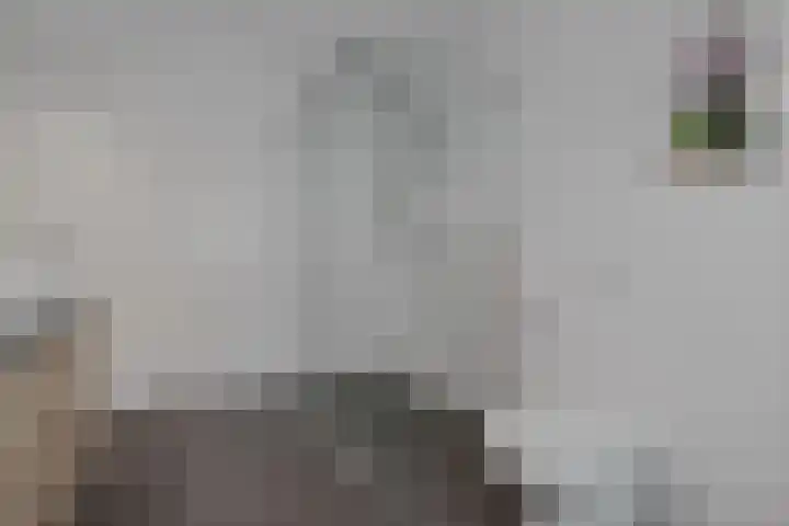 Pioenroos 8 Waddinxveen thumbnail 23