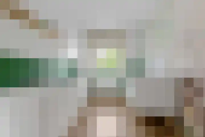 Pioenroos 8 Waddinxveen thumbnail 24