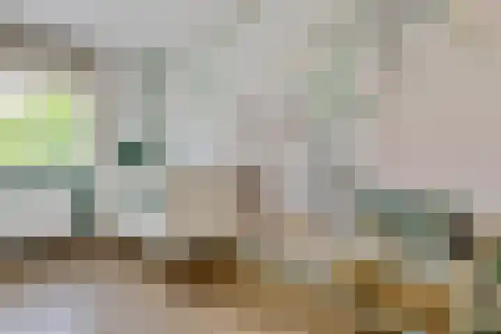 Pioenroos 8 Waddinxveen thumbnail 25