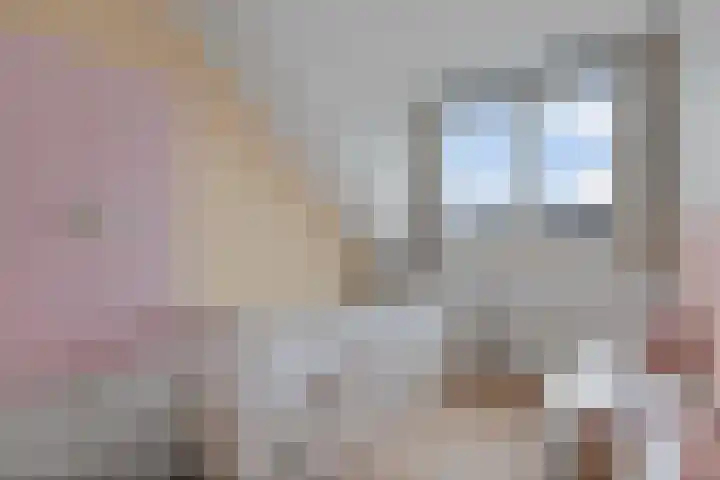 Pioenroos 8 Waddinxveen thumbnail 27