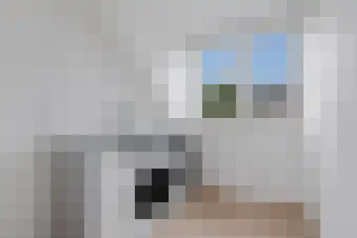 Pioenroos 8 Waddinxveen thumbnail 29