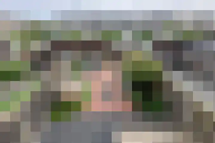 Pioenroos 8 Waddinxveen thumbnail 30