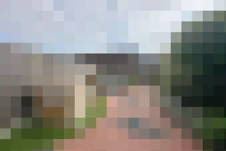 Pioenroos 8 Waddinxveen thumbnail 31